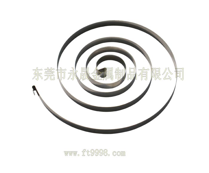 渦卷發條019 渦卷發條019